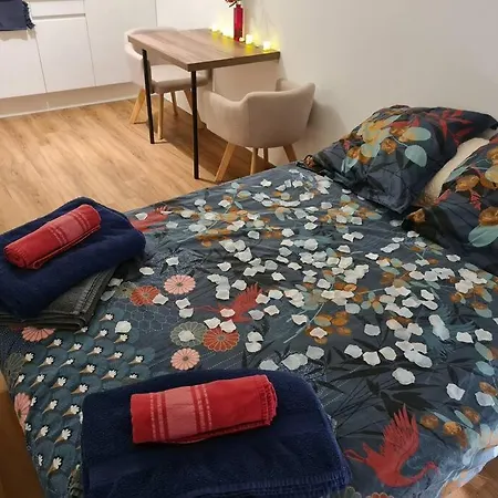 Studio Centre/ 300m Gare/jacuzzi Apartment *