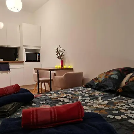 Apartment Studio Centre/ 300m Gare/jacuzzi