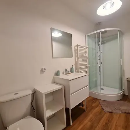 Studio Centre/ 300m Gare/jacuzzi Apartment Bourgoin-Jallieu